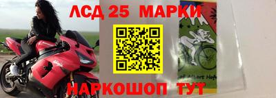 герыч Можга