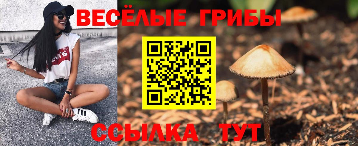Псилоцибиновые грибы Psilocybine cubensis Шали