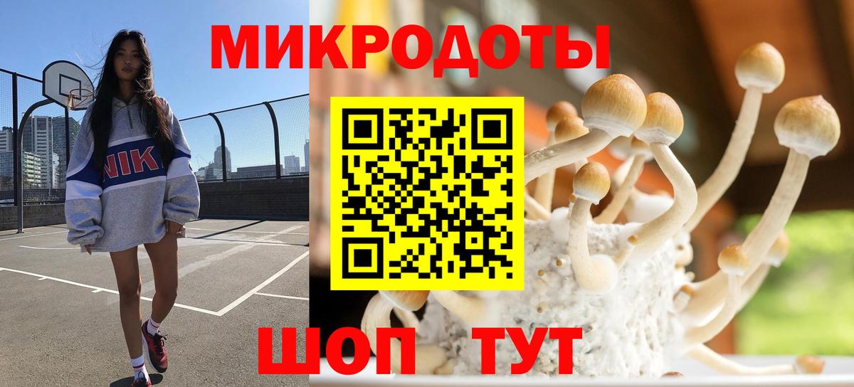 Шали  Галлюциногенные грибы Magic Shrooms  Вход с VPN 